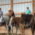 Ranch Clinic with Trina Campbell